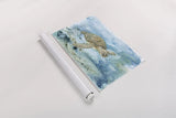 Under Sea Life I by Leslie Trimbach. shown as a rolled paper print. Available as archival giclee rolled canvas, fine art paper, or poster print. SKU 85637i.