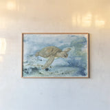 Under Sea Life I by Leslie Trimbach. shown as a paper print in a natural frame. Available as a archival giclee rolled canvas, fine art paper, or poster print. SKU 85637i.