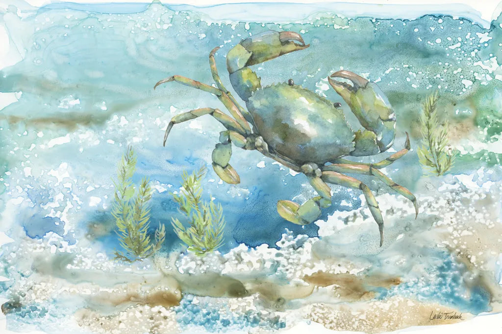 Under Sea Life III by Leslie Trimbach. SKU 85639i. Archival Giclee Fine art print for wall decor.