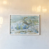 Under Sea Life III by Leslie Trimbach. shown as a paper print in a white frame. Available as a archival giclee rolled canvas, fine art paper, or poster print. SKU 85639i.