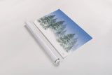 Winter Trees by Leslie Trimbach. shown as a rolled paper print. Available as archival giclee rolled canvas, fine art paper, or poster print. SKU 88918i.