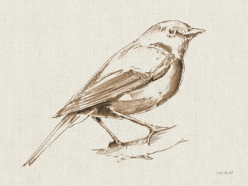 A Blue Note Bird I by Lisa Audit