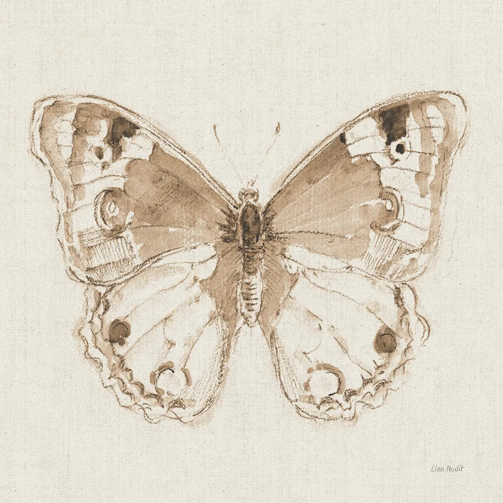 A Blue Note Butterfly I by Lisa Audit. SKU 99530a. Archival Giclee Fine art print for wall decor.