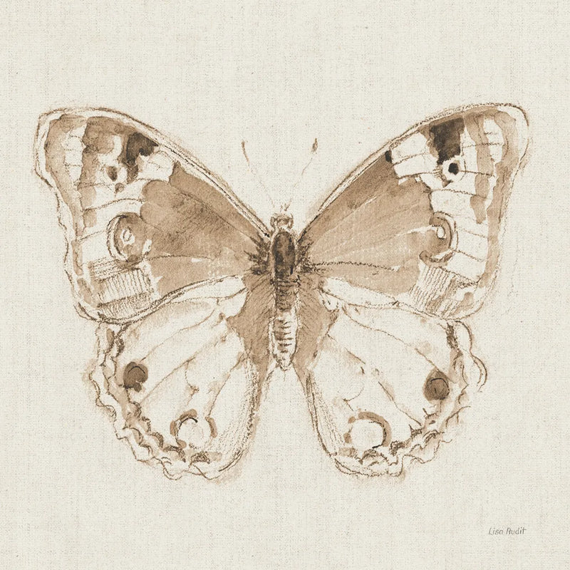 A Blue Note Butterfly I by Lisa Audit. SKU 99530a. Archival Giclee Fine art print for wall decor.