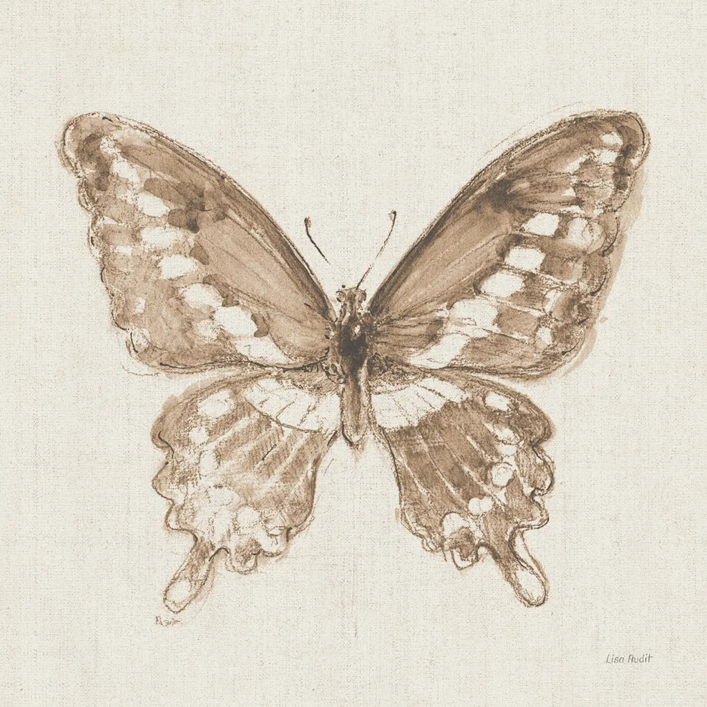 A Blue Note Butterfly II by Lisa Audit. SKU 99531a. Archival Giclee Fine art print for wall decor.