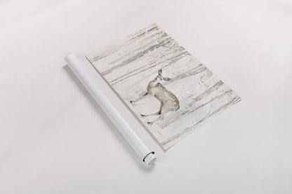 A Woodland Walk VII by Lisa Audit. shown as a rolled paper print. Available as archival giclee rolled canvas, fine art paper, or poster print. SKU 32671i.