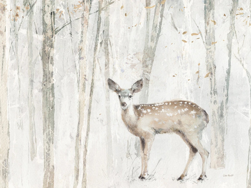 A Woodland Walk VII Crop by Lisa Audit