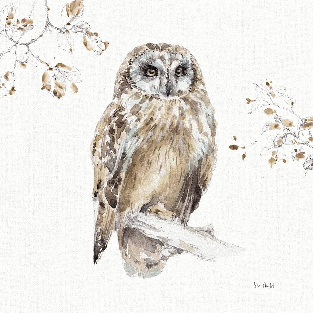 A Woodland Walk VIII by Lisa Audit. SKU 32672a. Archival Giclee Fine art print for wall decor.