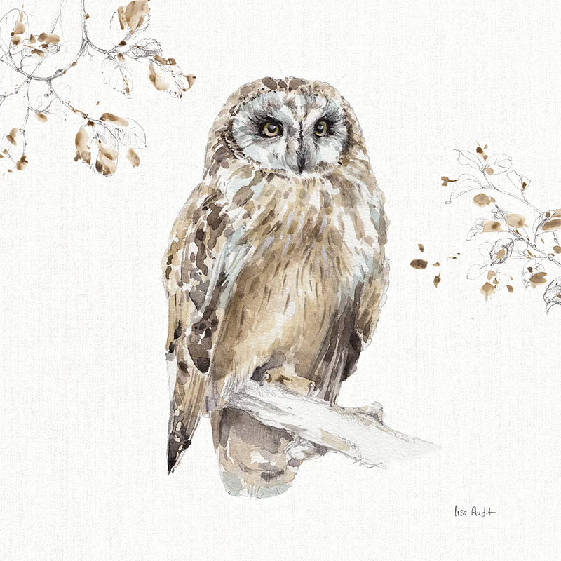 A Woodland Walk VIII by Lisa Audit. SKU 32672a. Archival Giclee Fine art print for wall decor.