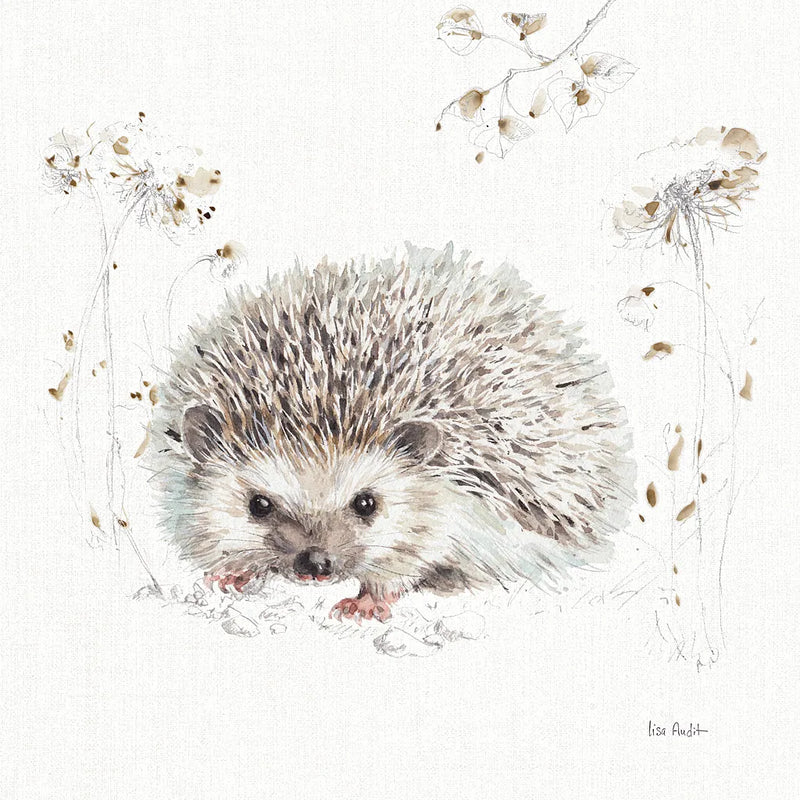 A Woodland Walk XII by Lisa Audit. SKU 32676a. Archival Giclee Fine art print for wall decor.