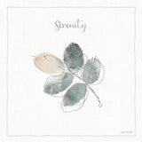 A Woodland Walk XVIII by Lisa Audit. SKU 33127a. Archival Giclee Fine art print for wall decor.