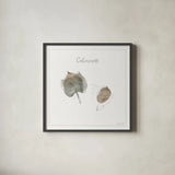 A Woodland Walk XXI by Lisa Audit. Shown in a sleek black glass frame for a contemporary gallery look. Available as an archival giclee rolled canvas, fine art paper, or poster print. SKU 33130a.