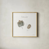 A Woodland Walk XXI by Lisa Audit. Shown in a natural wood glass frame for a timeless modern aesthetic. Available as an archival giclee rolled canvas, fine art paper, or poster print. SKU 33130a.
