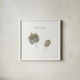 A Woodland Walk XXI by Lisa Audit. Shown in a crisp white glass frame for a clean and minimalist style. Available as an archival giclee rolled canvas, fine art paper, or poster print. SKU 33130a.