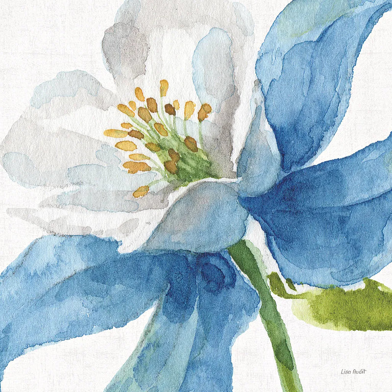 Blue and Green Garden VI by Lisa Audit. SKU 34789a. Archival Giclee Fine art print for wall decor.
