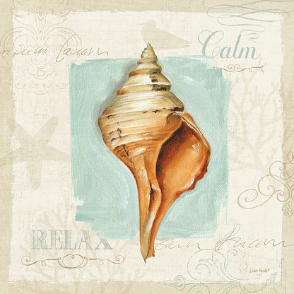 Coastal Jewels I by Lisa Audit. SKU 15230a. Archival Giclee Fine art print for wall decor.