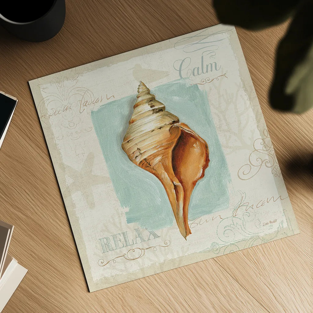 Coastal Jewels I by Lisa Audit. Shown as a detailed flat fine art print, highlighting archival giclee quality. Available as an archival giclee rolled canvas, fine art paper, or poster print. SKU 15230a.