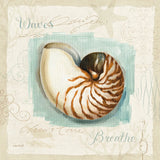 Coastal Jewels II by Lisa Audit. SKU 15231a. Archival Giclee Fine art print for wall decor.