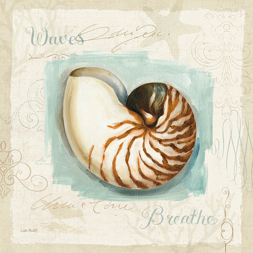 Coastal Jewels II by Lisa Audit. SKU 15231a. Archival Giclee Fine art print for wall decor.