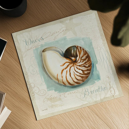 Coastal Jewels II by Lisa Audit. Shown as a detailed flat fine art print, highlighting archival giclee quality. Available as an archival giclee rolled canvas, fine art paper, or poster print. SKU 15231a.