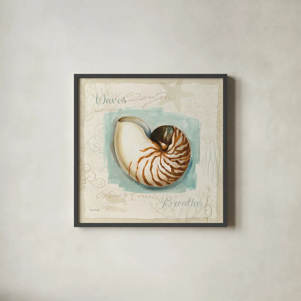 Coastal Jewels II by Lisa Audit. Shown in a sleek black glass frame for a contemporary gallery look. Available as an archival giclee rolled canvas, fine art paper, or poster print. SKU 15231a.