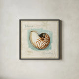 Coastal Jewels II by Lisa Audit. Shown in a sleek black glass frame for a contemporary gallery look. Available as an archival giclee rolled canvas, fine art paper, or poster print. SKU 15231a.