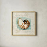 Coastal Jewels II by Lisa Audit. Shown in a natural wood glass frame for a timeless modern aesthetic. Available as an archival giclee rolled canvas, fine art paper, or poster print. SKU 15231a.
