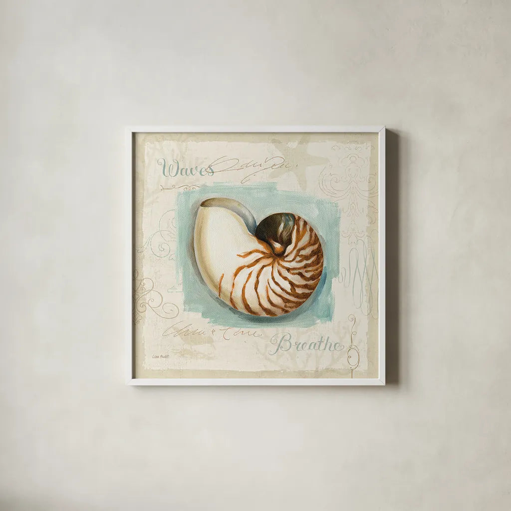 Coastal Jewels II by Lisa Audit. Shown in a crisp white glass frame for a clean and minimalist style. Available as an archival giclee rolled canvas, fine art paper, or poster print. SKU 15231a.