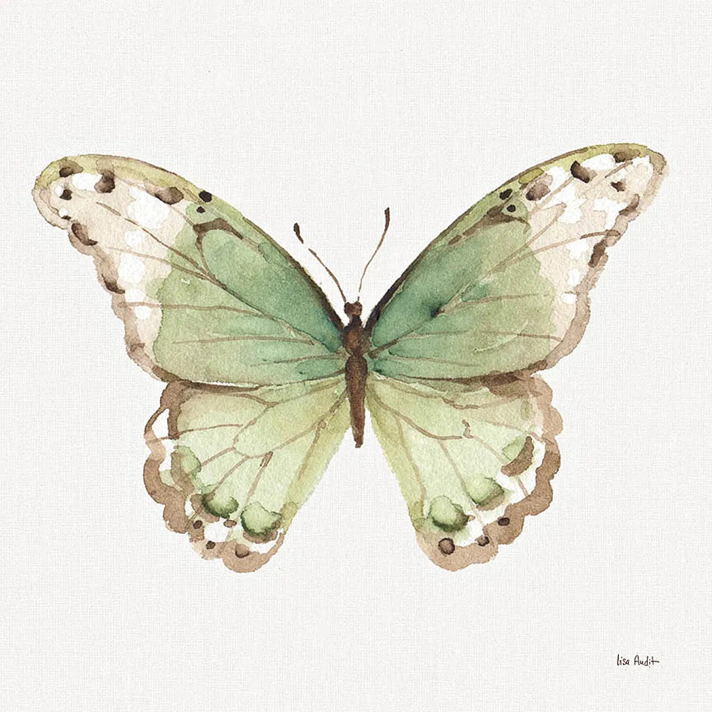 Colorful Breeze XII by Lisa Audit. SKU 25038a. Archival Giclee Fine art print for wall decor.