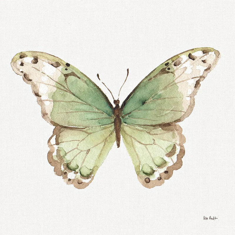 Colorful Breeze XII by Lisa Audit. SKU 25038a. Archival Giclee Fine art print for wall decor.