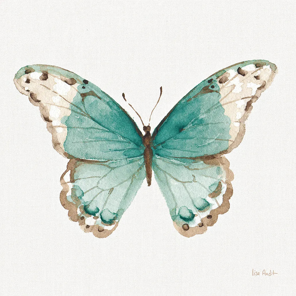 Colorful Breeze XII with Teal by Lisa Audit. SKU 25910a. Archival Giclee Fine art print for wall decor.