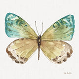 Colorful Breeze XIV by Lisa Audit. SKU 26362a. Archival Giclee Fine art print for wall decor.