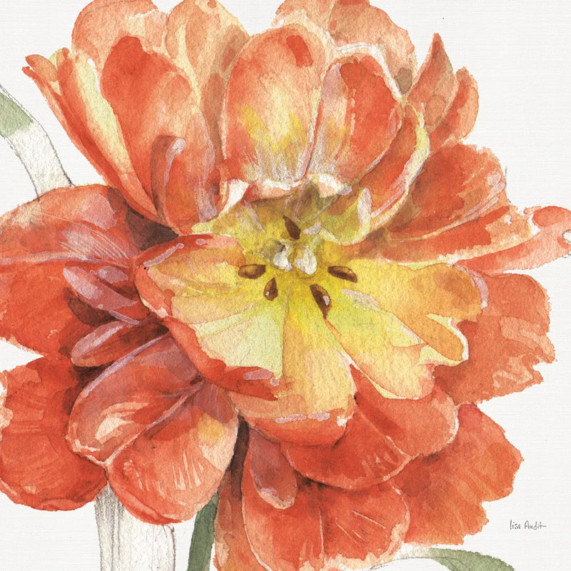 Fall Meadow V by Lisa Audit. SKU 55391a. Archival Giclee Fine art print for wall decor.