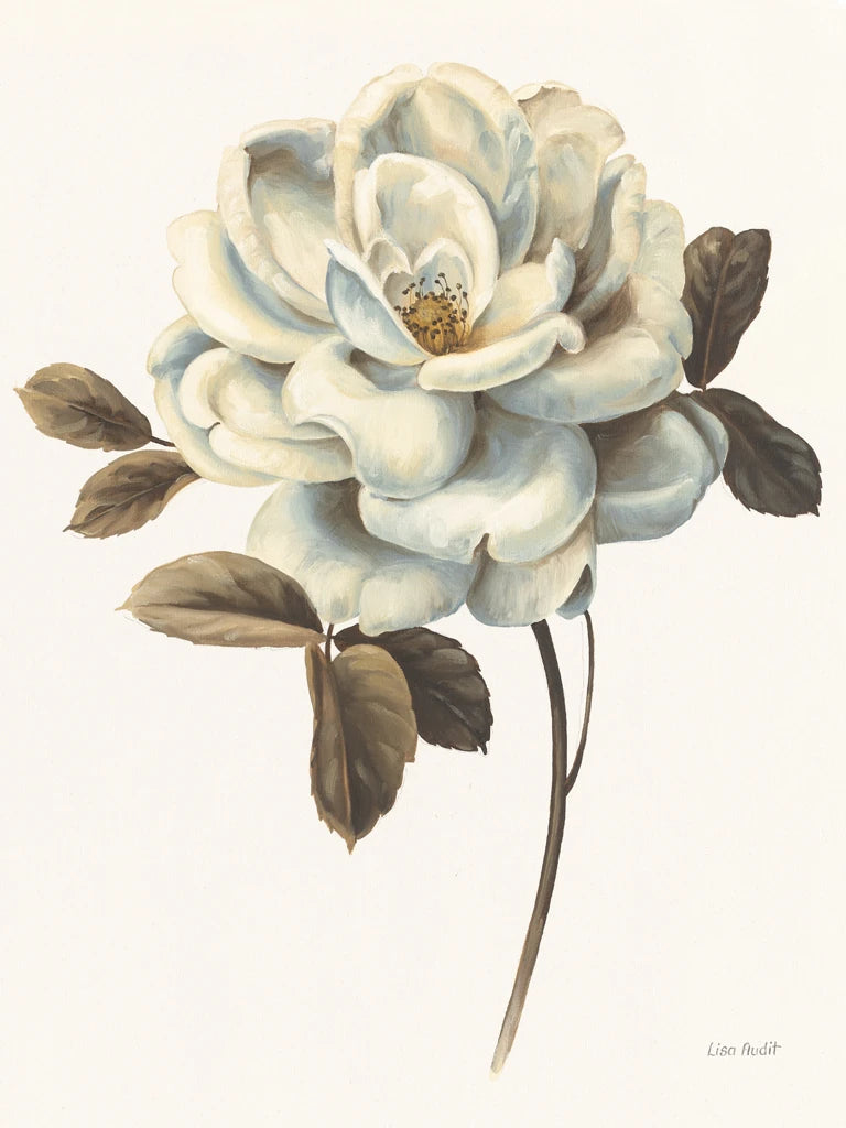 Floral Bliss Rose II by Lisa Audit