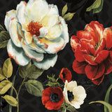 Floral Story IV on Black by Lisa Audit. SKU 11692a. Archival Giclee Fine art print for wall decor.