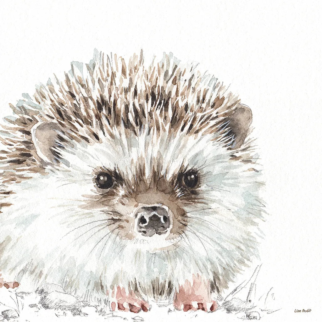 Forest Friends I by Lisa Audit. SKU 42018a. Archival Giclee Fine art print for wall decor.