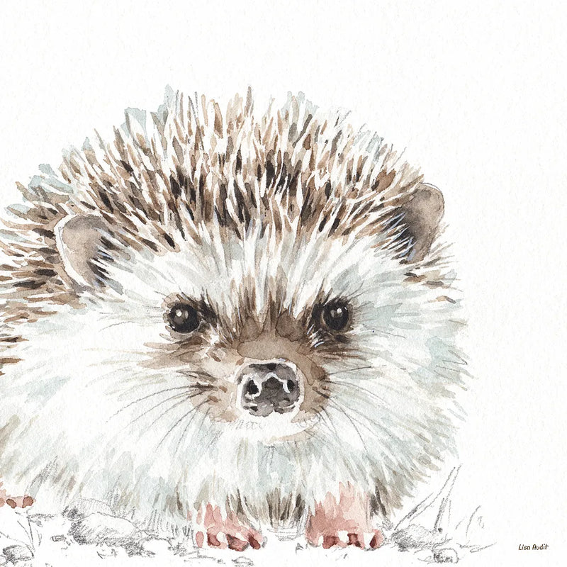 Forest Friends I by Lisa Audit. SKU 42018a. Archival Giclee Fine art print for wall decor.