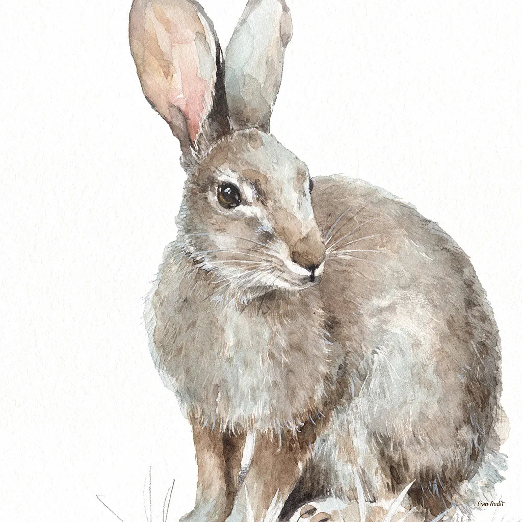 Forest Friends II by Lisa Audit. SKU 42019a. Archival Giclee Fine art print for wall decor.