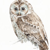 Forest Friends III by Lisa Audit. SKU 42020a. Archival Giclee Fine art print for wall decor.