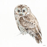 Forest Friends IX by Lisa Audit. SKU 42026a. Archival Giclee Fine art print for wall decor.