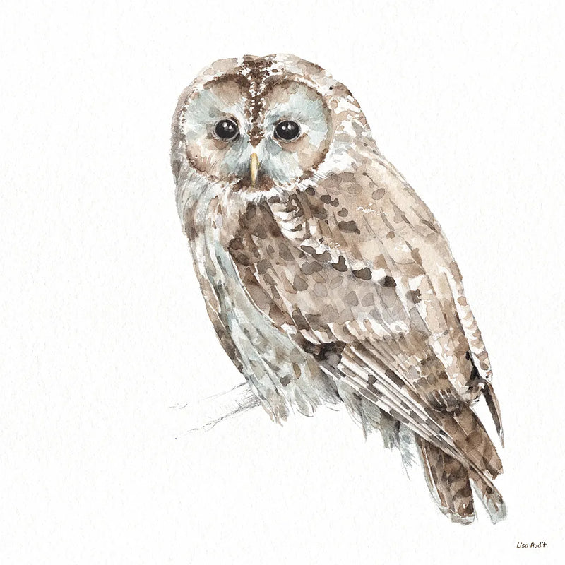 Forest Friends IX by Lisa Audit. SKU 42026a. Archival Giclee Fine art print for wall decor.