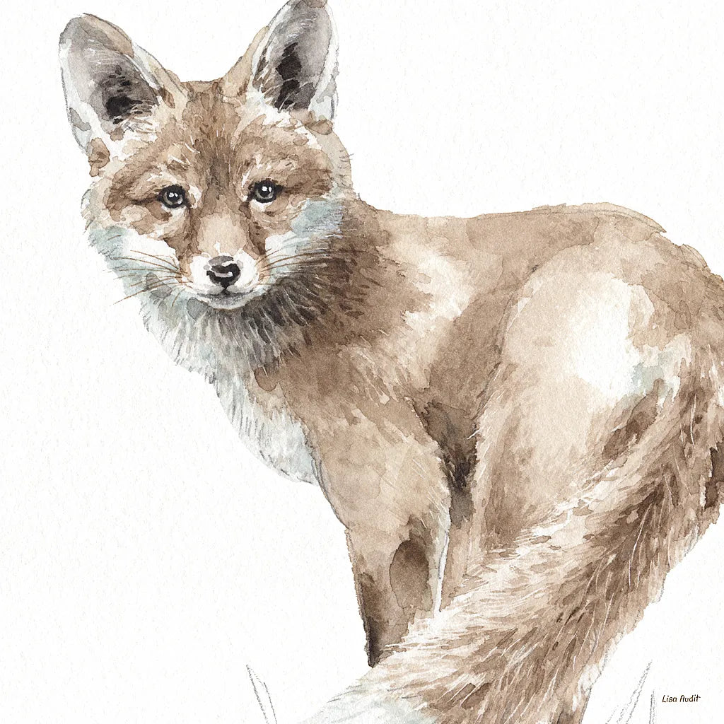 Forest Friends V by Lisa Audit. SKU 42022a. Archival Giclee Fine art print for wall decor.