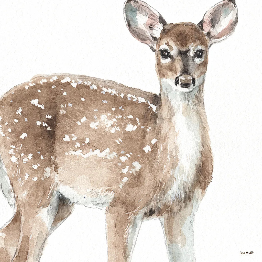 Forest Friends VI by Lisa Audit. SKU 42023a. Archival Giclee Fine art print for wall decor.