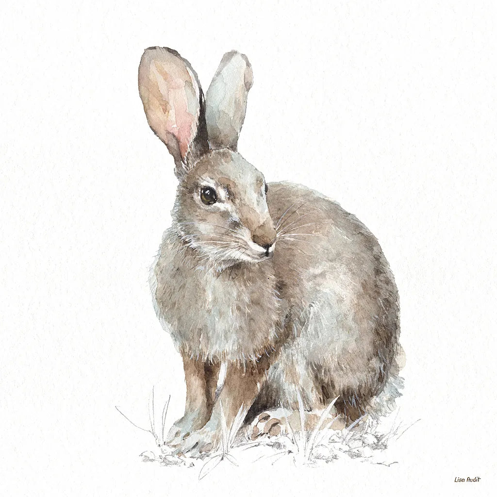 Forest Friends VIII by Lisa Audit. SKU 42025a. Archival Giclee Fine art print for wall decor.