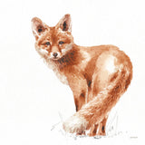 Forest Friends XI Red by Lisa Audit. SKU 56706a. Archival Giclee Fine art print for wall decor.