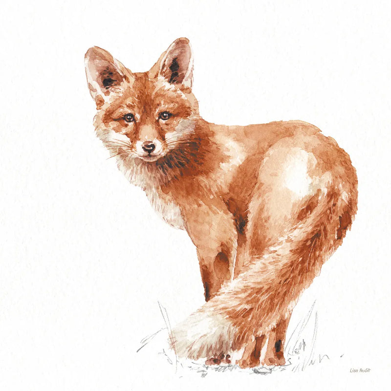 Forest Friends XI Red by Lisa Audit. SKU 56706a. Archival Giclee Fine art print for wall decor.