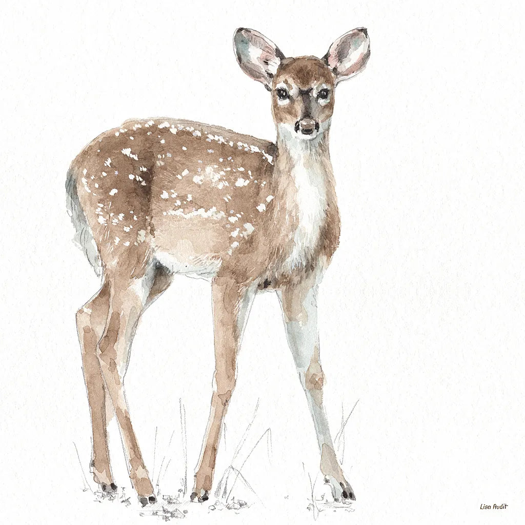 Forest Friends XII by Lisa Audit. SKU 42029a. Archival Giclee Fine art print for wall decor.