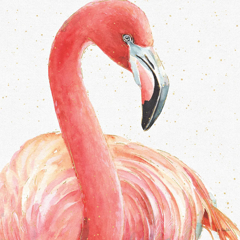 Gracefully Pink II by Lisa Audit. SKU 28288a. Archival Giclee Fine art print for wall decor.