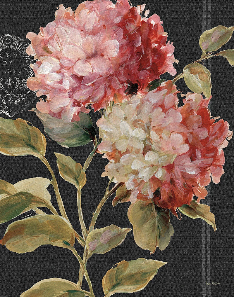 Harmonious Hydrangeas by Lisa Audit