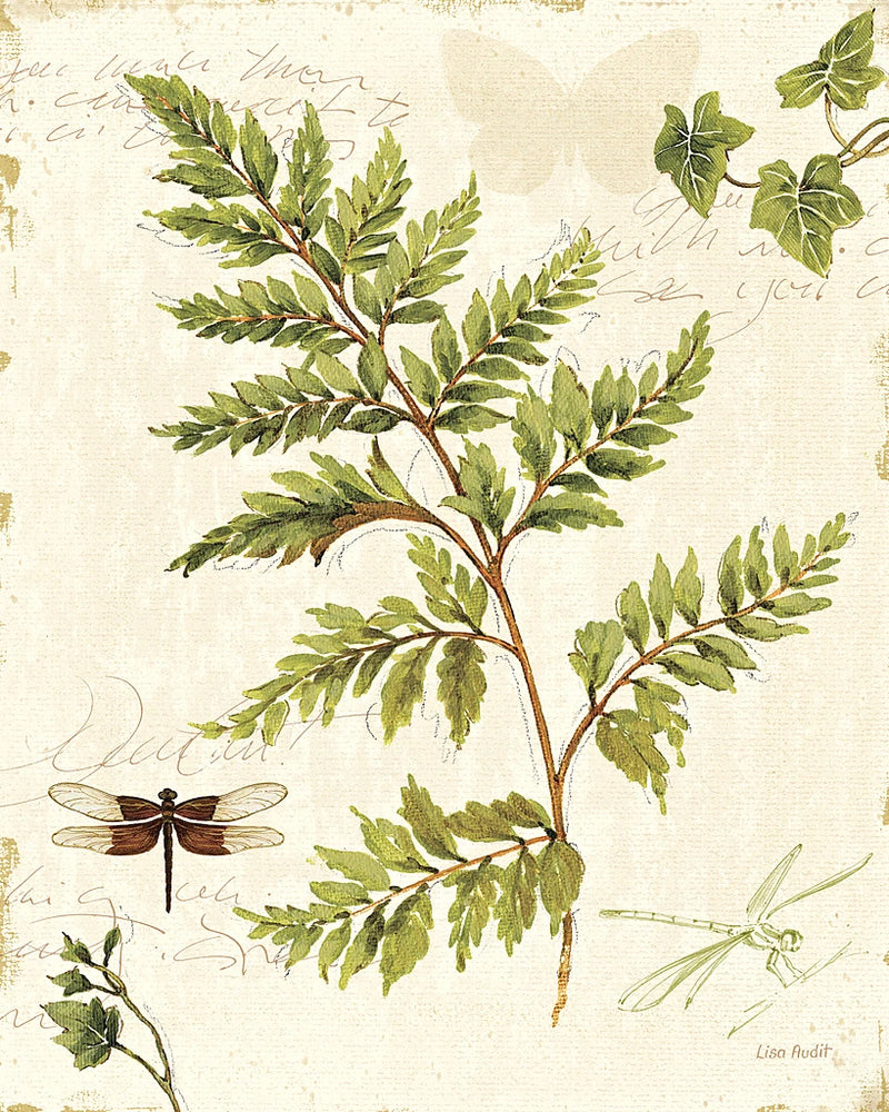 Ivies and Ferns I by Lisa Audit